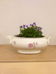 Similar image 21761076