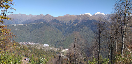 Similar image 21761079