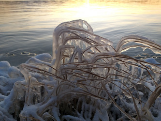 Similar image 21761088