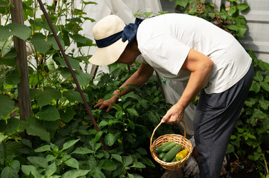 Similar image 21760771