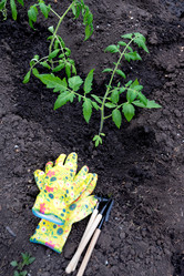 Similar image 21760775