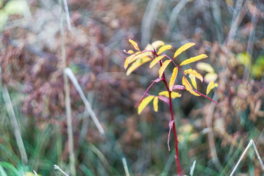 Similar image 21764343