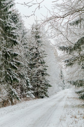 Similar image 21764345