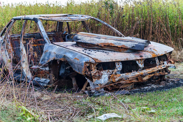 Similar image 21764350