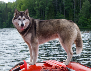 Similar image 21764362