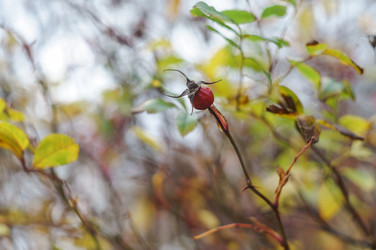 Similar image 21764367