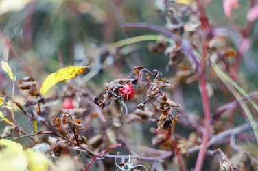 Similar image 21764368