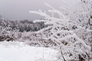 Similar image 21764370