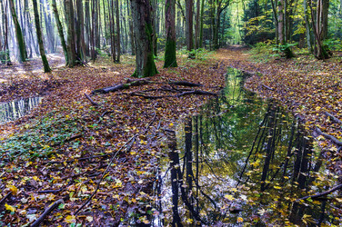 Similar image 21764374