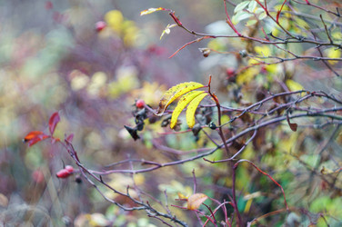 Similar image 21760656