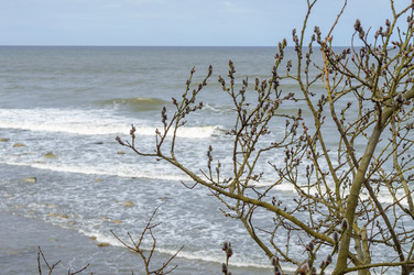 Similar image 21760657