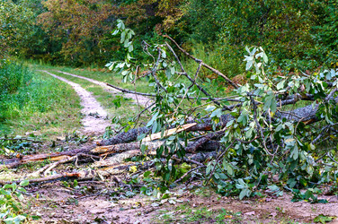 Similar image 21764390