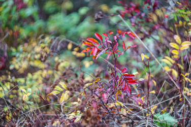 Similar image 21764400