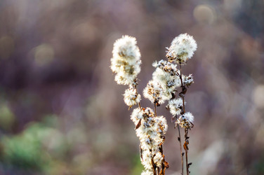 Similar image 21764403