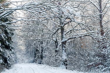 Similar image 21764408