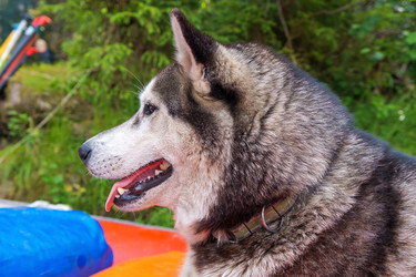 Similar image 21760662