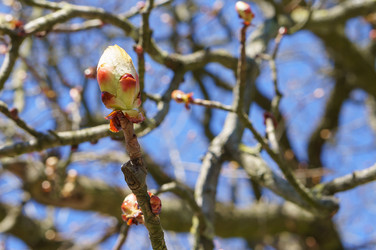 Similar image 21760671