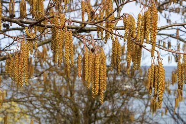 Similar image 21760679