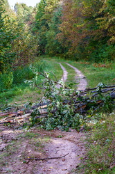 Similar image 21760680