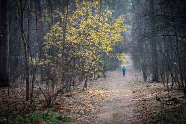 Similar image 21761431