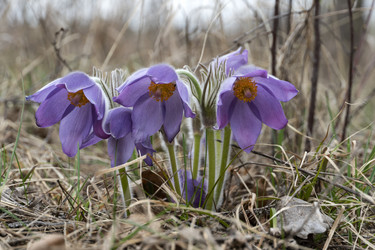 Similar image 21761432