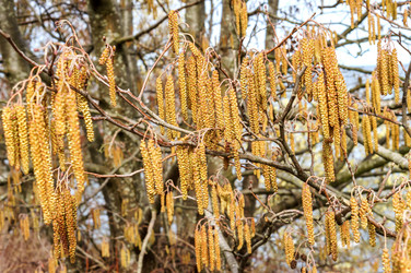 Similar image 21764225