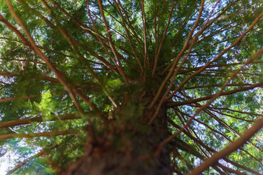 Similar image 21764411