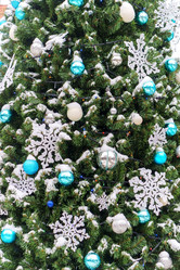 Similar image 21764412