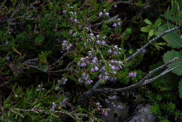 Similar image 21763108