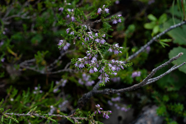 Similar image 21763109