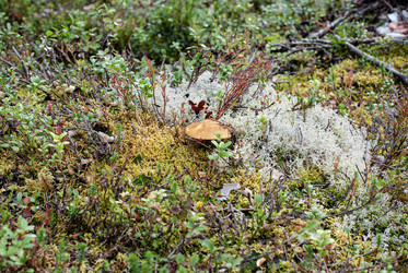 Similar image 21763111