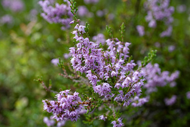 Similar image 21763112