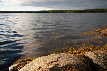 Similar image 21761616