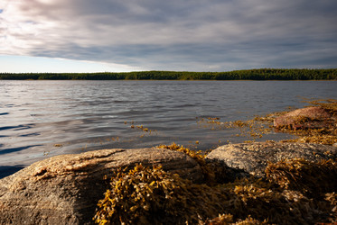 Similar image 21761617