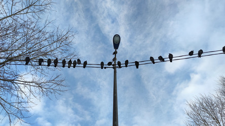 Similar image 21761619