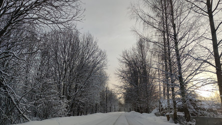 Similar image 21763317