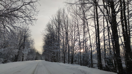 Similar image 21763319