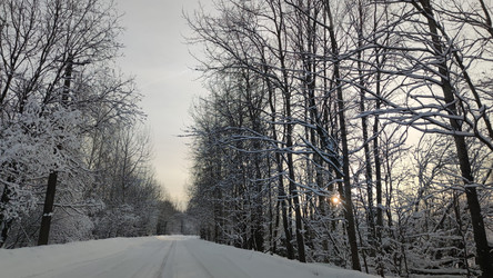 Similar image 21763320