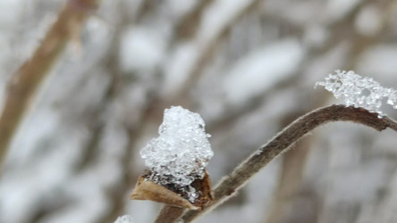 Similar image 21763327