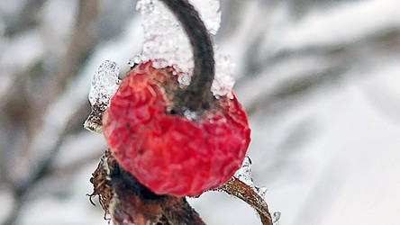 Similar image 21763329