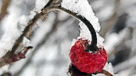 Similar image 21763330