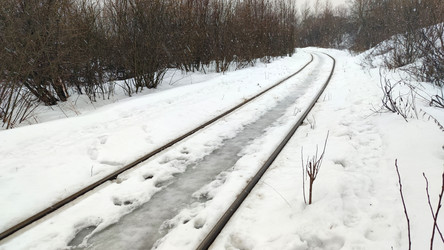 Similar image 21763332