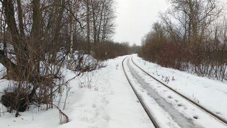 Similar image 21763337