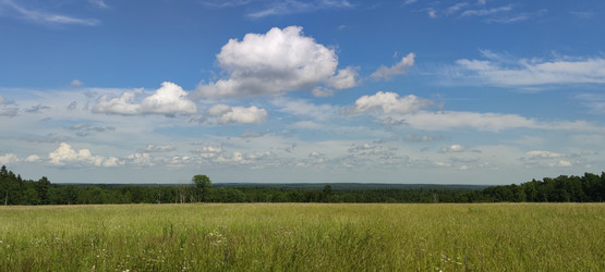 Similar image 21763339