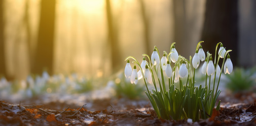 Similar image 21761632