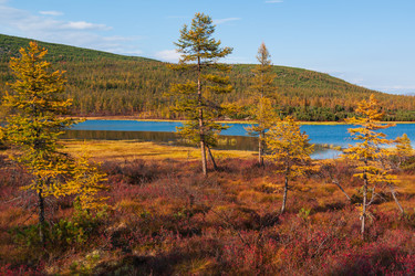 Similar image 21761648