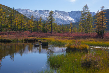 Similar image 21761655