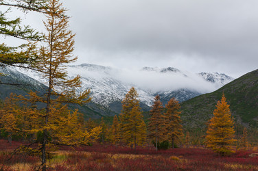 Similar image 21761670