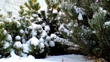 Similar image 21762820