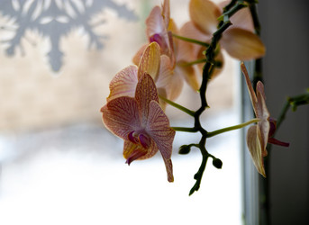 Similar image 21761437